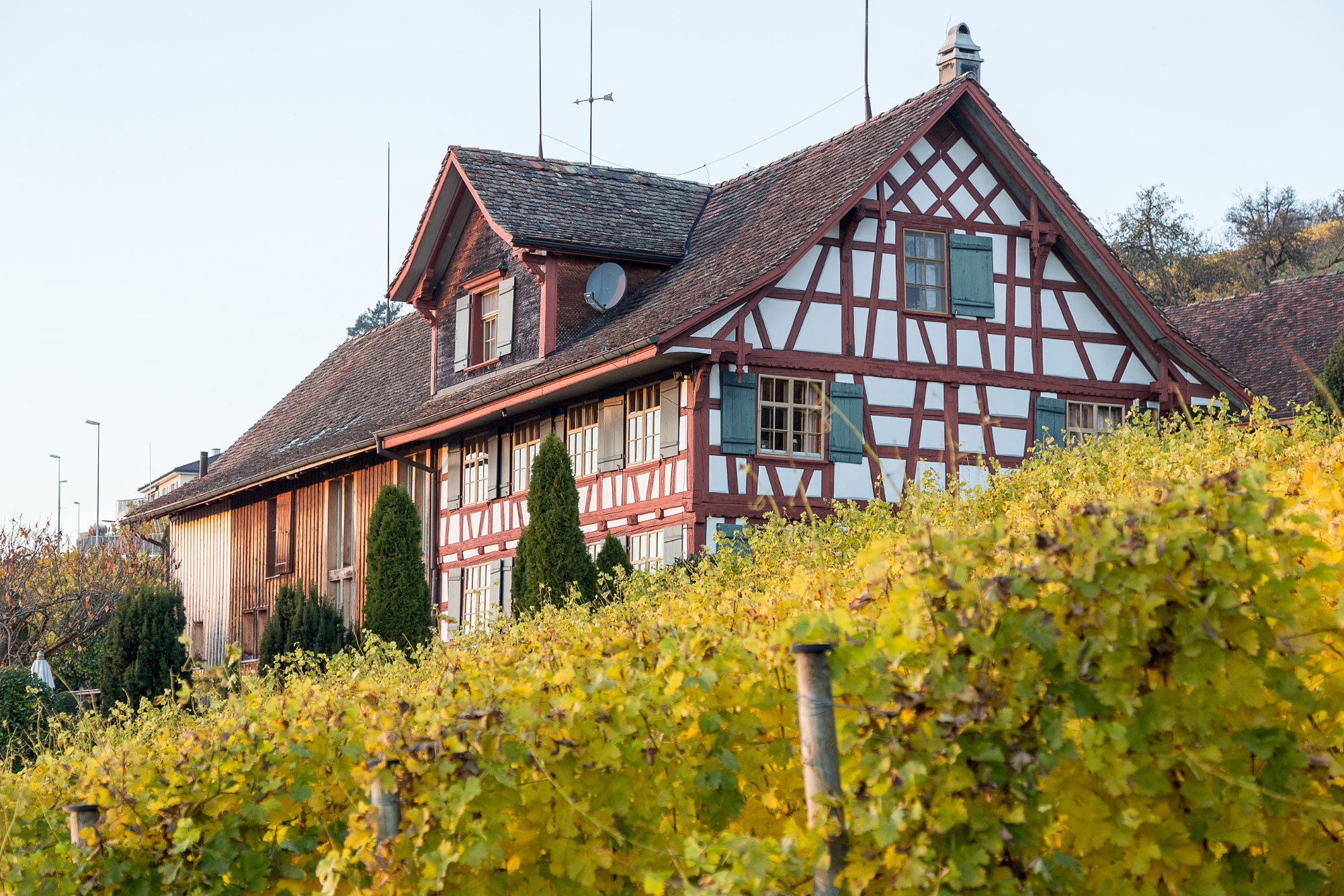 Ottoberg, Märstetten (Photo license: CC-BY-SA 4.0)